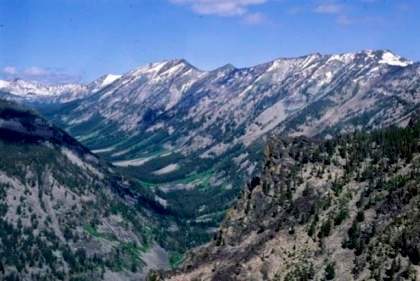 mtwild11