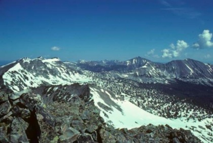 mtWild43