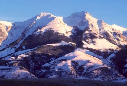 mtWild53