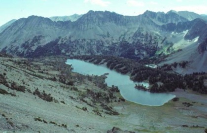mtWild55