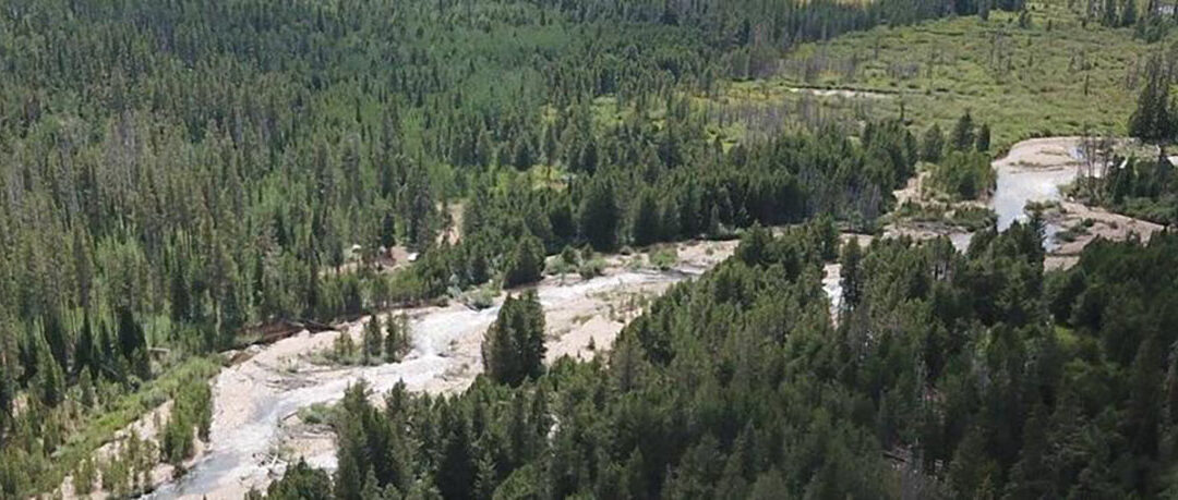 Alliance stops secret logging and burning project in Uintas-Wasatch-Cache National Forest