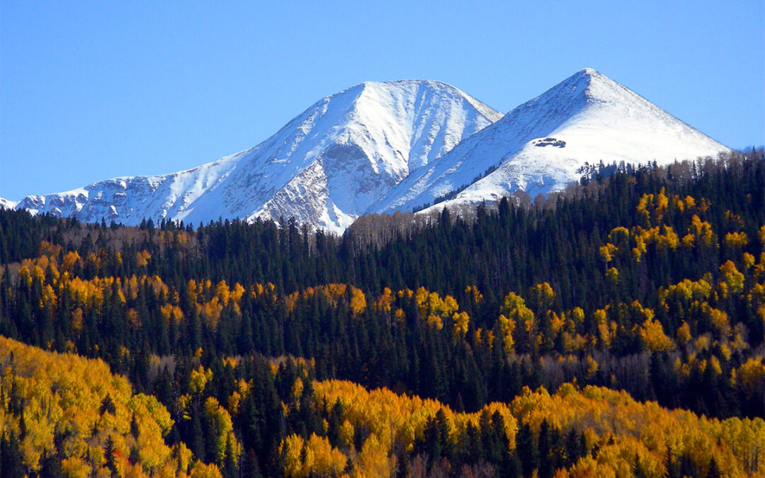 Alliance for the Wild Rockies halts Forest Service plan to log and burn entire Manti-La Sal National Forest