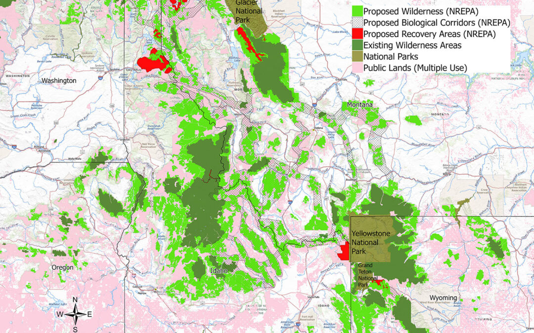 Why we need the Northern Rockies Ecosystem Protection Act now more than ever
