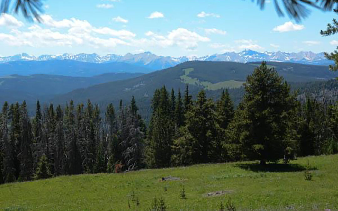 NREPA Will Designate all Greater Yellowstone Wilderness Study Areas as Wilderness