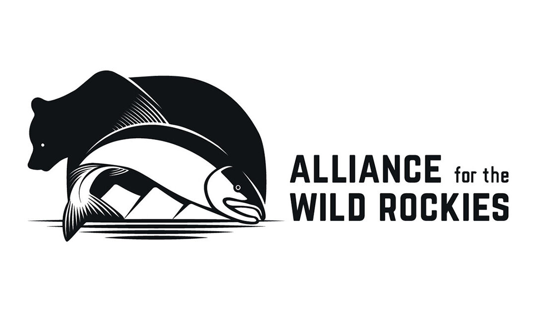 Top Ten Things the Alliance did to protect the Northern Rockies Ecosystem in 2025