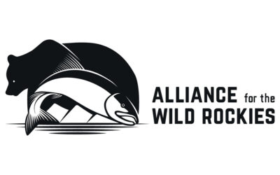 Top Ten Things the Alliance did to protect the Northern Rockies Ecosystem in 2025