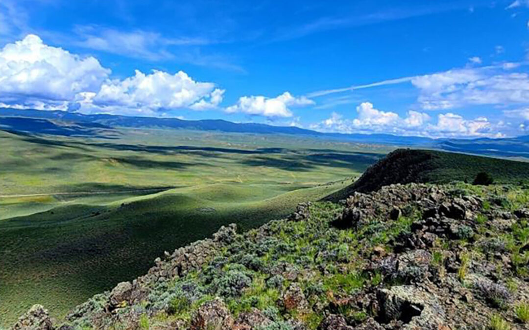 Why we are suing the BLM to stop deforestation and burning across 905,000 acres of southwest Montana
