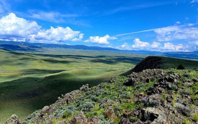 Why we are suing the BLM to stop deforestation and burning across 905,000 acres of southwest Montana