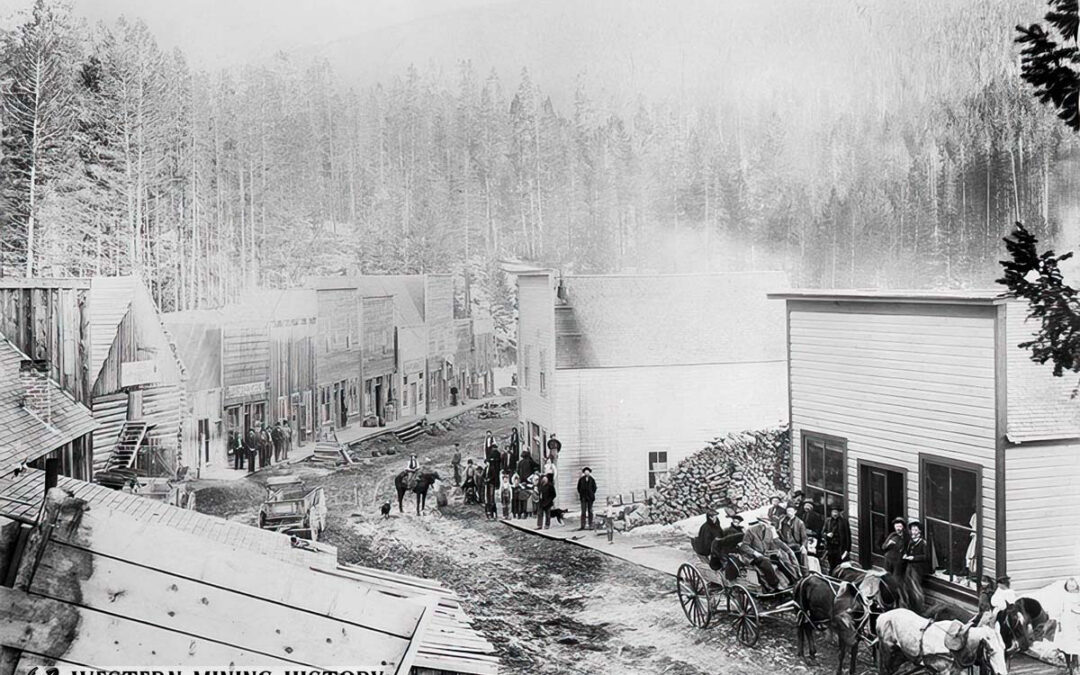 Calling Bull on Forest Service and Timber Industry “unnaturally thick forests” Propaganda