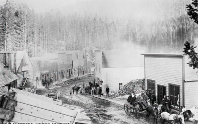 Calling Bull on Forest Service and Timber Industry “unnaturally thick forests” Propaganda