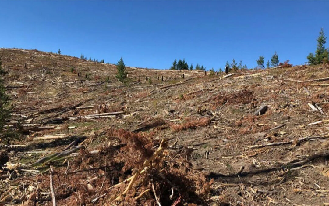The Wilderness Society, Greater Yellowstone Coalition, and Montana Wilderness Association have Consistently Undermined the Roadless Rule